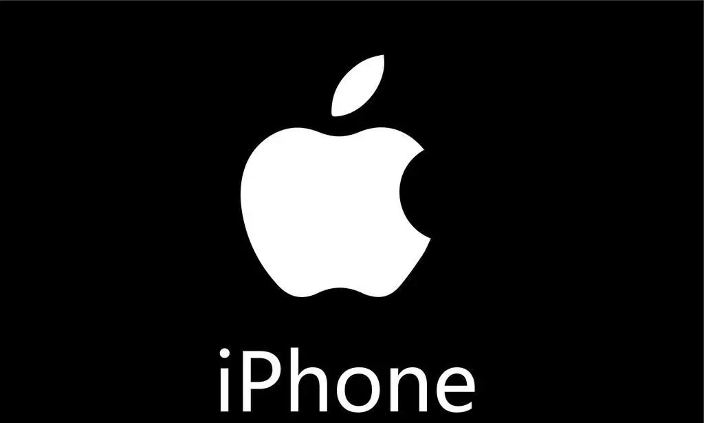 大摩:IPHONE大约80%的产能依然来自中国